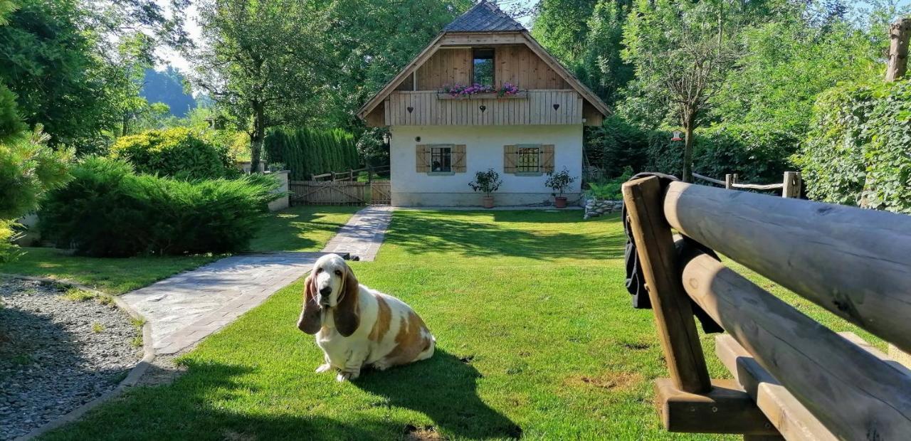 Vila Jana ラドヴリツァ エクステリア 写真